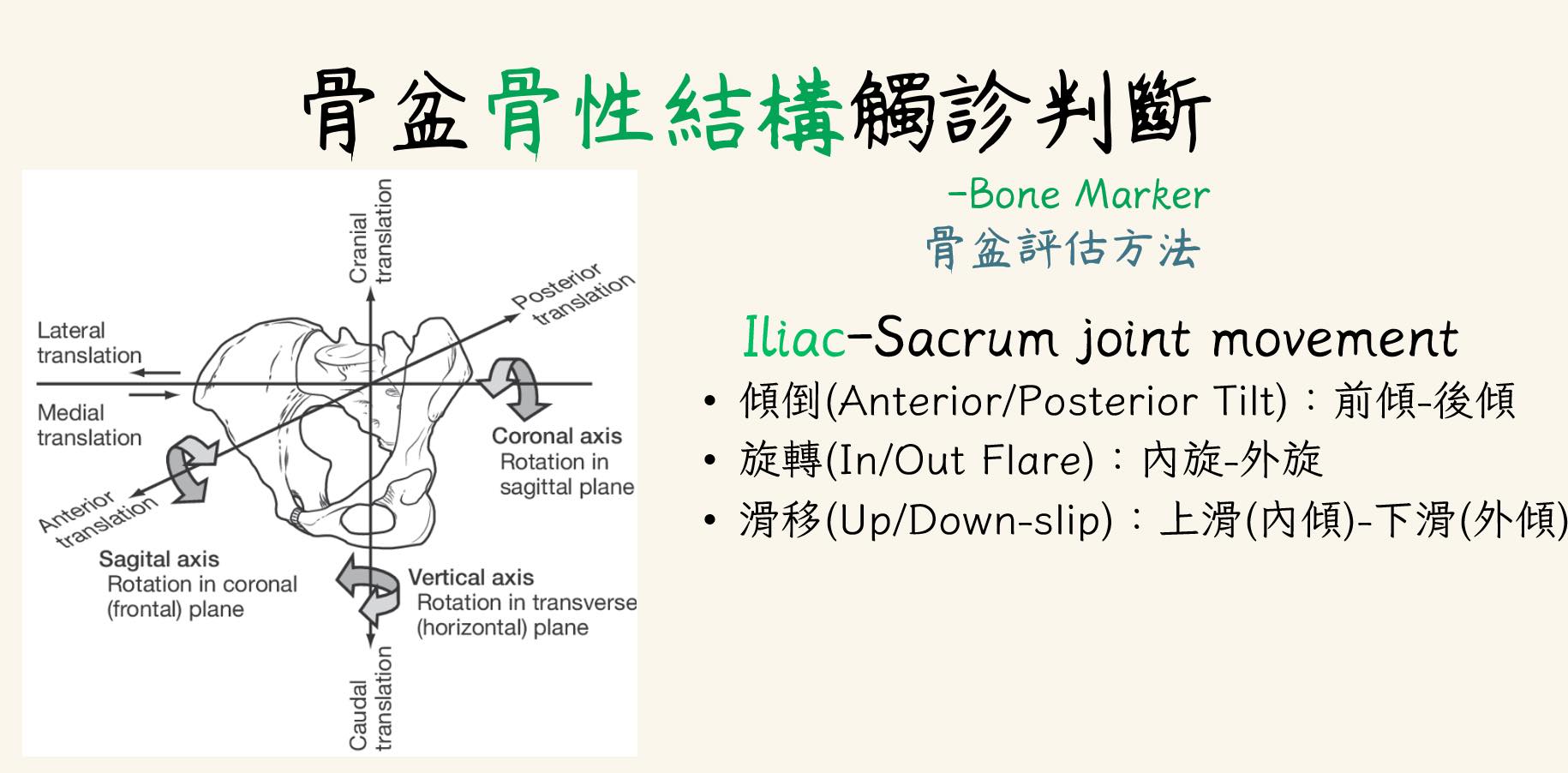 上週日的肌筋膜中醫讀書會2023myofascialTCM讀書會，很榮幸有30分…