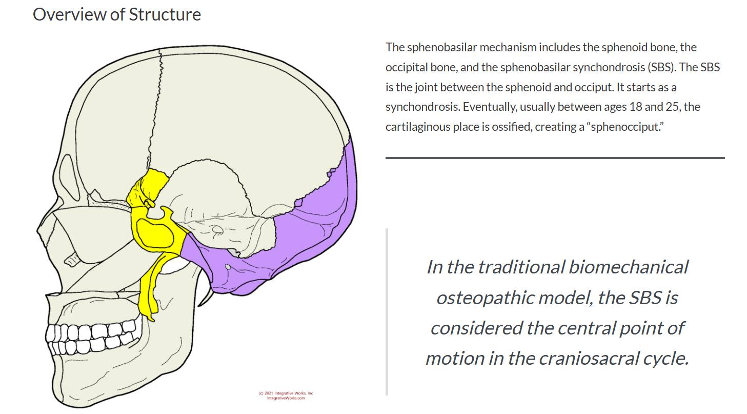 這次進修The Cranial Bowl課程真的是太難太好玩又太有趣，The C…