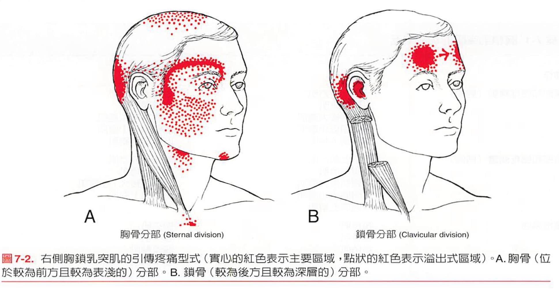 莫名的 #耳痛